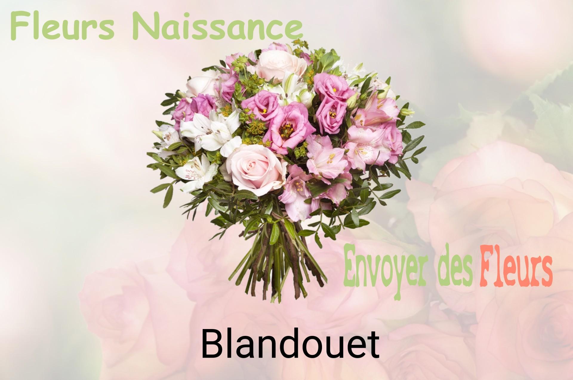 Bouquet de fleurs de naissance livré à Blandouet