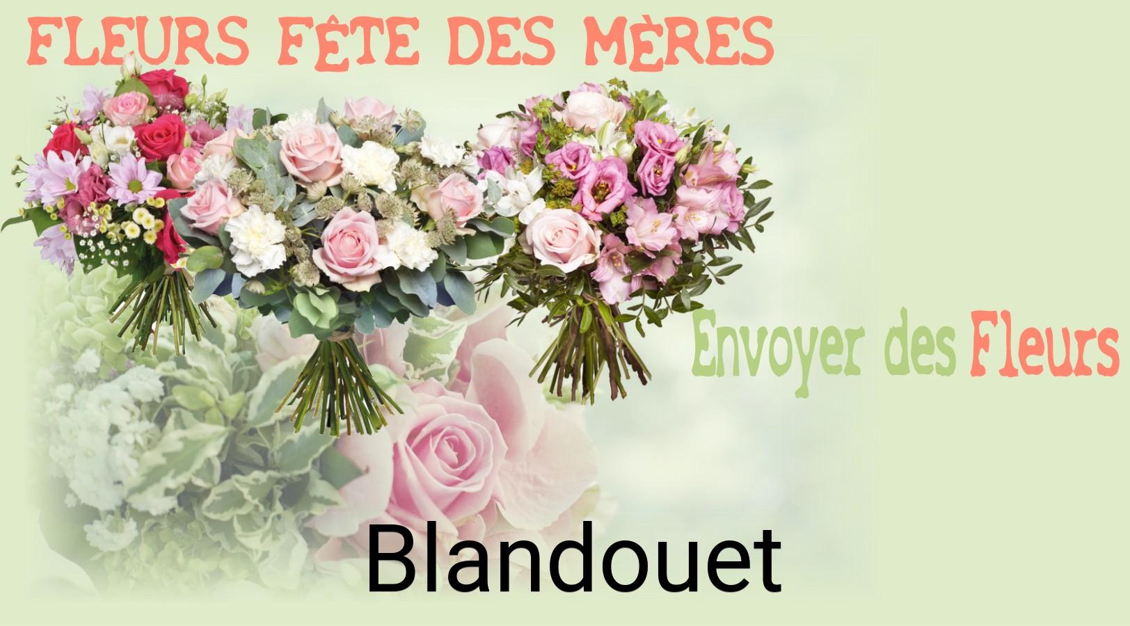 Bouquet de Fête des Mères livré à Blandouet